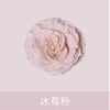 Sơn xịt hoa tươi hoa sáp hoa nhũ Floral color
