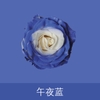 Sơn xịt hoa tươi hoa sáp hoa nhũ Floral color