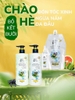 Dầu Gội Bưởi Bồ Kết DL Collagen 850ml