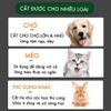 Tông Đơ Cắt Tóc Lông Thú Cưng, Tông Đơ Cắt Tóc Chó Mèo Kemei Km-A99 Tại Hà Nội