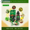Dầu Gội Nâu Phủ bạc SALUTING KERATIN 3IN1 Nhật Bản 500ml