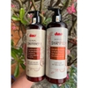 Bộ Dầu Gội Thảo Mộc Dưỡng Sinh DINO 800mlx2 Tại Hà Nội