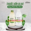 Thuốc uốn Oliu cao cấp Obsidian Selque Multi Olive 500ml