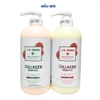 Dầu Gội Xả Bưởi Selena UK Kích Thích Mọc Tóc, Phục Hồi Hư Tổn, Bổ Sung Collagen Vitamin E Cho Tóc Sau Uốn Nhuộm DUỗi