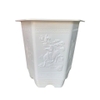 Chậu trồng cây