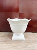 Chậu trồng cây