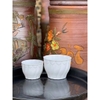 Chậu trồng cây