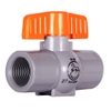 Taijaan - Van PVC - Tay Nhựa Cam - Răng Trong