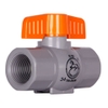 Taijaan - Van PVC - Tay Nhựa Cam - Răng Trong