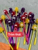 Cọ nhà vệ sinh