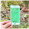 Cường lực dẻo full màn hình điện thoại Iphone