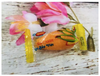 kẹo dẻo bắp việt - 500g - Corn Candy