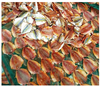 Cá khô chỉ vàng, Cá khô rim mắm đường - 500g - Dried Fish