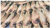 Khô cá lưỡi trâu loại trung to bự đặc sản Cà Mau - 500g - Dried Fish