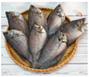 Khô cá sặc - 500g - Dried Fish