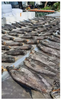 Khô cá sặc - 500g - Dried Fish