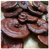 Nấm Linh Chi Đỏ Thái lát - 100g - Dried Reishi Mushroom