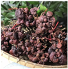 Nấm Linh Chi Đỏ Thái lát - 100g - Dried Reishi Mushroom