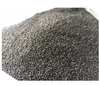 Hạt é - 100g - Occimum Gratissimum - Dried