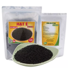 Hạt é - 100g - Occimum Gratissimum - Dried