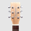 dan-guitar-acoustic-tanglewood-twr2-d-dreadnought-spruce-mahogany-roadster-ii-na