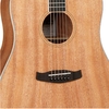dan-guitar-acoustic-tanglewood-twu-d-solid-top-mahogany-dreadnought-am-thanh-man