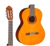 dan-classic-guitar-yamaha-cx40-guitar-classic-co-pickup-nang-cap-tu-c40