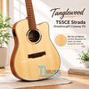 dan-guitar-acoustic-dien-tanglewood-ts5ce-strada-dreadnought-cutaway-eq-temx-chi