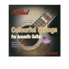 day-dan-guitar-acoustic-alice-aw435