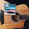 day-dan-guitar-acoustic-ultra-pack-daddario-ez910-ej26
