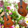 dan-ukulele-concert-23-inch-go-tu-nhien-am-am-de-choi-cho-nguoi-moi-ban-chuyen