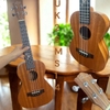 dan-ukulele-tenor-26-inch-go-tu-nhien-am-tram-am-phim-rong-cho-nguoi-choi-nang-c