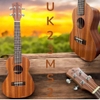 dan-ukulele-concert-23-inch-go-tu-nhien-am-am-de-choi-cho-nguoi-moi-ban-chuyen