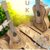 dan-ukulele-concert-23-inch-go-tu-nhien-am-am-de-choi-cho-nguoi-moi-ban-chuyen