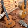 dan-ukulele-tenor-26-inch-go-tu-nhien-am-tram-am-phim-rong-cho-nguoi-choi-nang-c