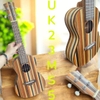 dan-ukulele-concert-23-inch-go-tu-nhien-am-am-de-choi-cho-nguoi-moi-ban-chuyen