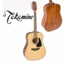 takamine-d2d-ns-chinh-hang