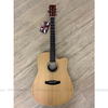 dan-guitar-acoustic-tanglewood-twr2-dce-twrii-dce-tanglewood
