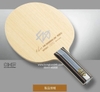 BUTTERFLY FAN ZHENDONG CNF