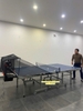 Bàn Double Fish DF203 (bản mới)