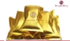 ngai-nhung-ho-tro-dieu-tri-cac-benh-ly-co-xuong-khop