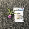 Trâm Cài Áo Cao Cấp #02