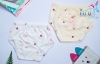 QUẦN BOXER BÉ GÁI CHERRY REN GẮN NƠ