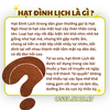 Hạt Đình Lịch (Hạt Ngũ Hoa) Nguyên Chất - Giải Pháp Tiêu Viêm, Hút Mụn Thảo Dược Tại Nhà