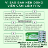 Cảm Cúm F Fito - Hổ Trợ Cảm Mạo Phong Nhiệt - Giảm Nhức Đầu - Hắt Hơi Sổ Mũi