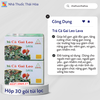 Trà Cà Gai Leo Lava - Hổ Trợ Tăng Cường Chức Năng Gan - Giải Độc Gan - Hạ Men Gan - Hộp 30 Túi Lọc