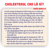 VIÊN UỐNG GIẢM MỠ MÁU CHOLESTEROL TÍN PHONG - GIẢM NGUY CƠ XƠ VỮA ĐỘNG MẠCH - HỔ TRỢ ĐIỀU HÒA HUYẾT ÁP - GIẢM BÉO PHÌ