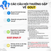 NP GURIC – Hỗ Trợ Giảm Acid Uric Máu, Hỗ Trợ Hạn Chế Và Giảm Biểu Hiện Sưng Đau Khớp Do Gout