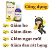 Siro ho An Phế Thảo - Hổ trợ giảm ho, viêm họng, sổ mũi, nghẹt mũi, tan đàm chai 125ml