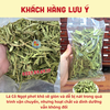 Lá Cỏ Ngọt Sấy Khô – Vị ngọt tự nhiên, 0 Calo Cho Người Tiểu Đường, Ăn KIêng , Ăn Chay